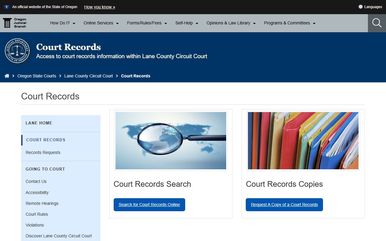 Lane County court records after jail arrest records request page